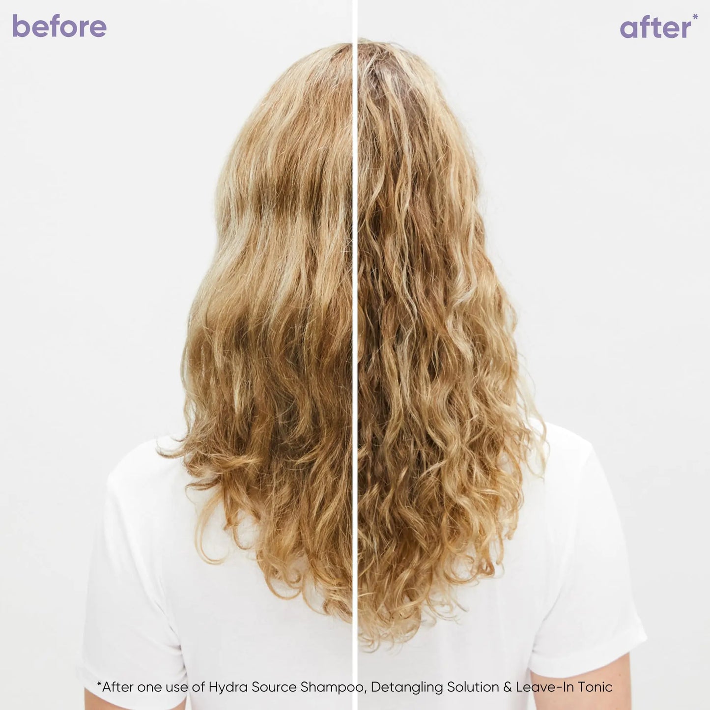 Biolage Hydra Source Shampoo | Hydrates & Moisturizes Dry Hair