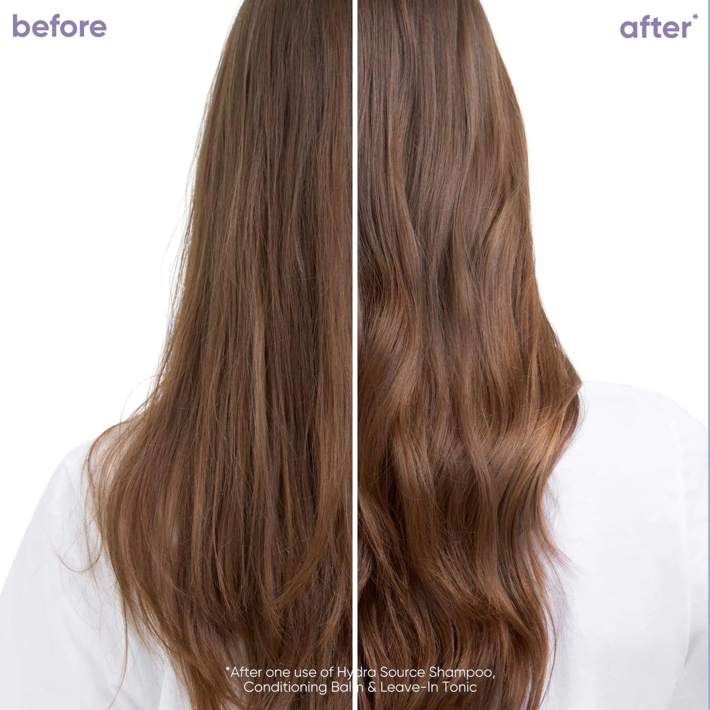 Biolage Hydra Source Shampoo | Hydrates & Moisturizes Dry Hair