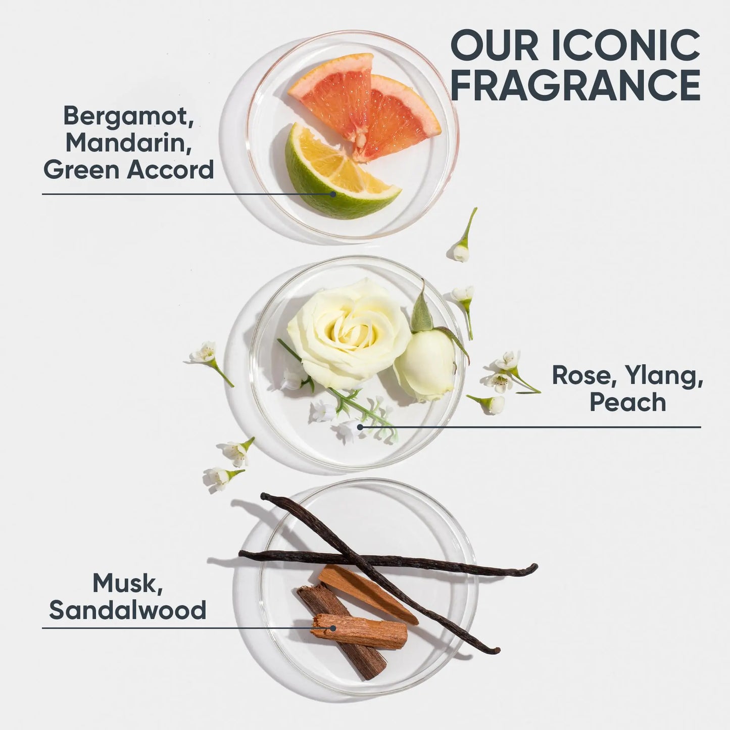 Biolage Hydra Source Shampoo | Hydrates & Moisturizes Dry Hair