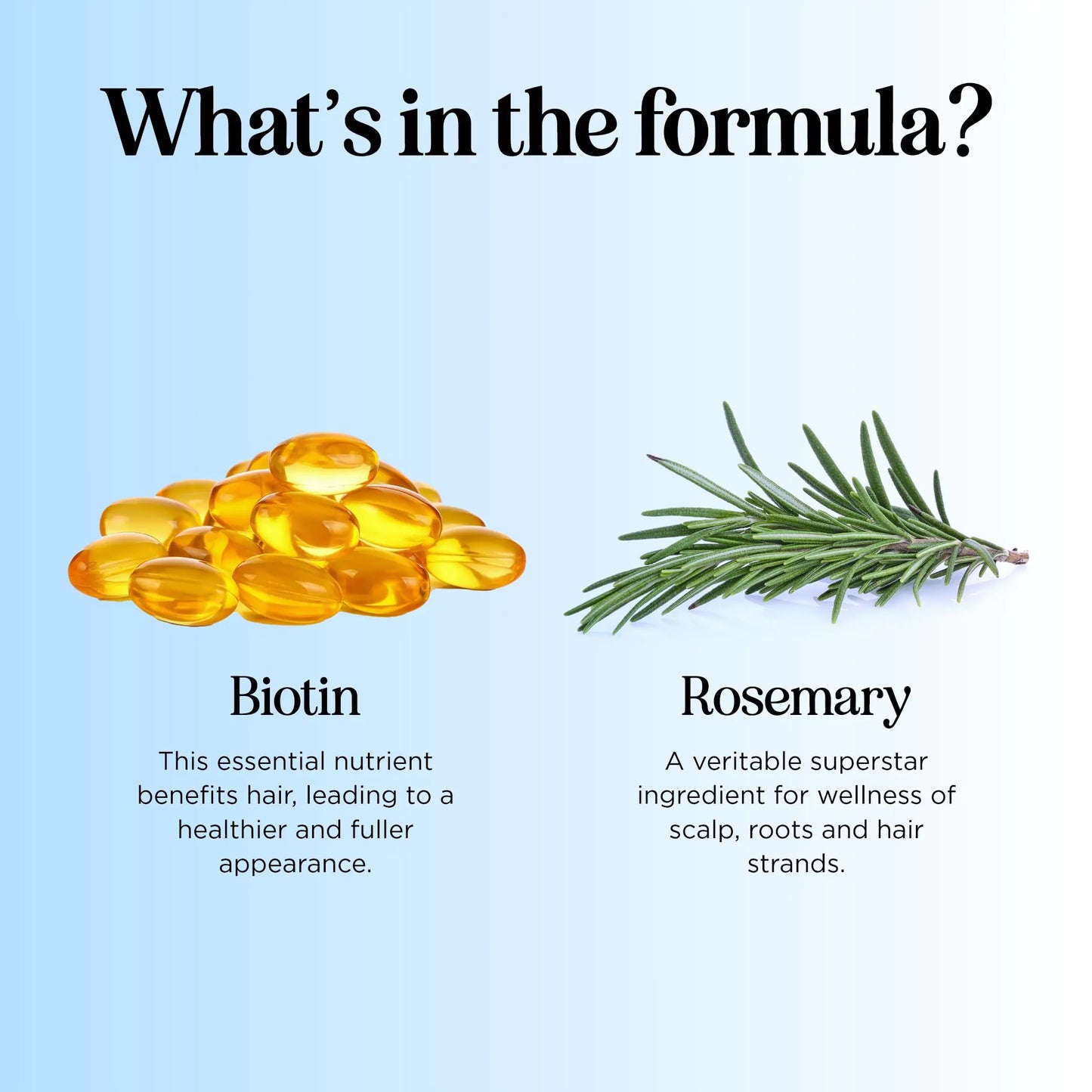 Rosemary and Biotin Shampoo - for Dry Damaged Weak and Thin Hair Care