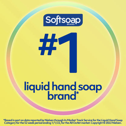 Softsoap Antibacterial Liquid Soap, (Pack of 6)