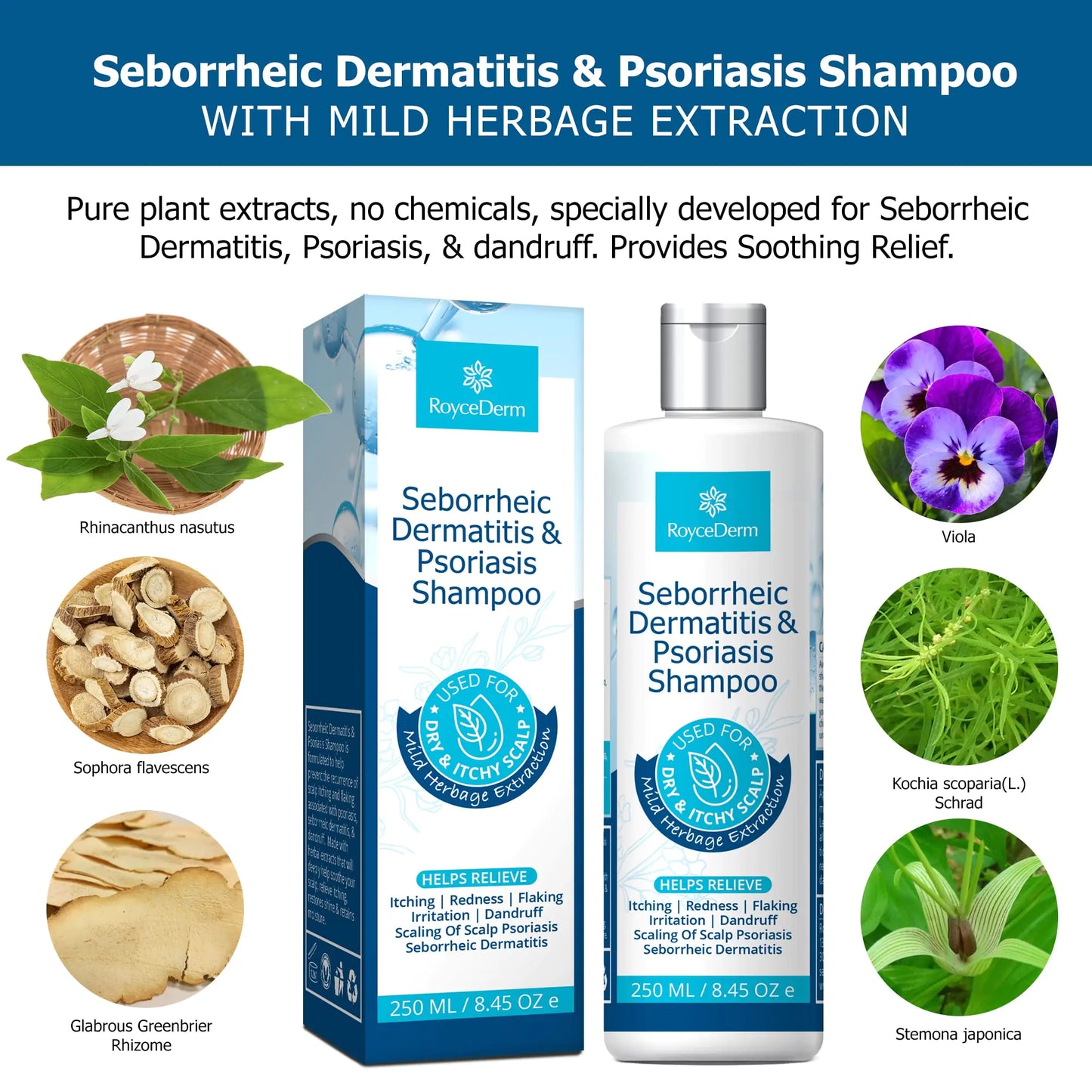 Roycederm Psoriasis Shampoo, Dandruff Shampoo, Dry Itchy Scalp Treatment